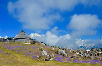 Velika Planina | Slowenien Reiseführer √